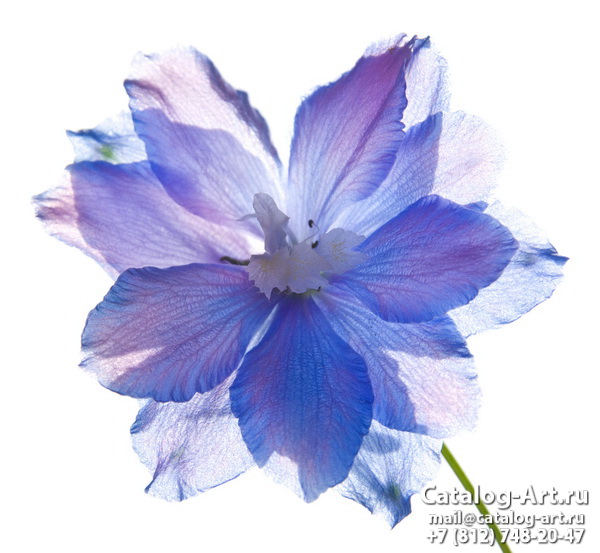 Bleu flowers 18